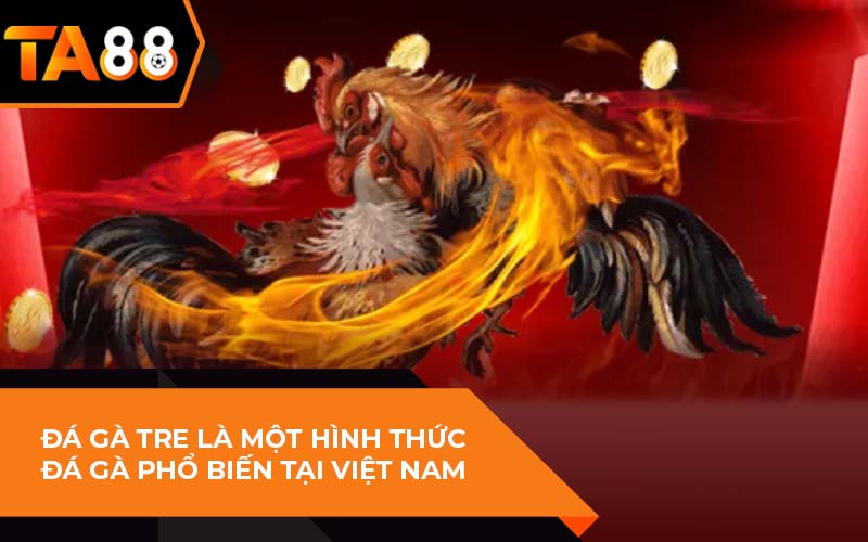 Luật Đá Gà Miền Bắc